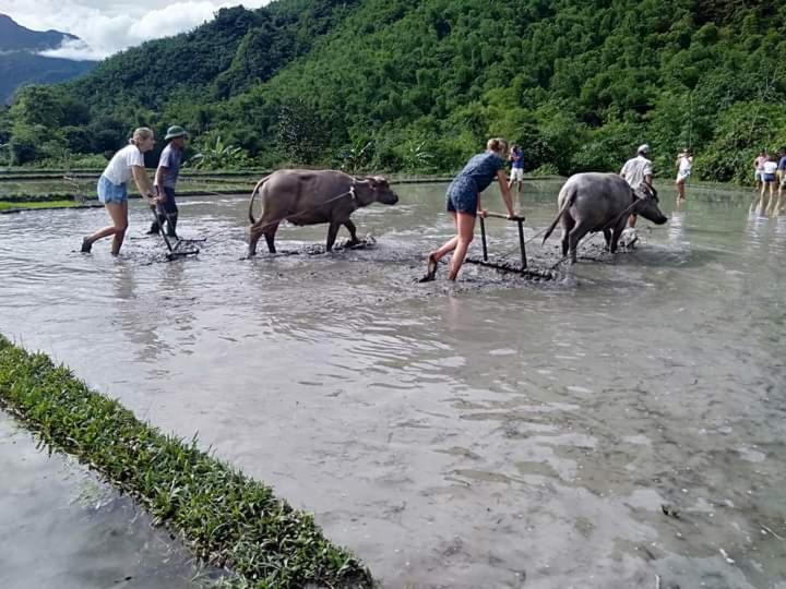 Mai Chau Xanh Bungalow Bagian luar foto