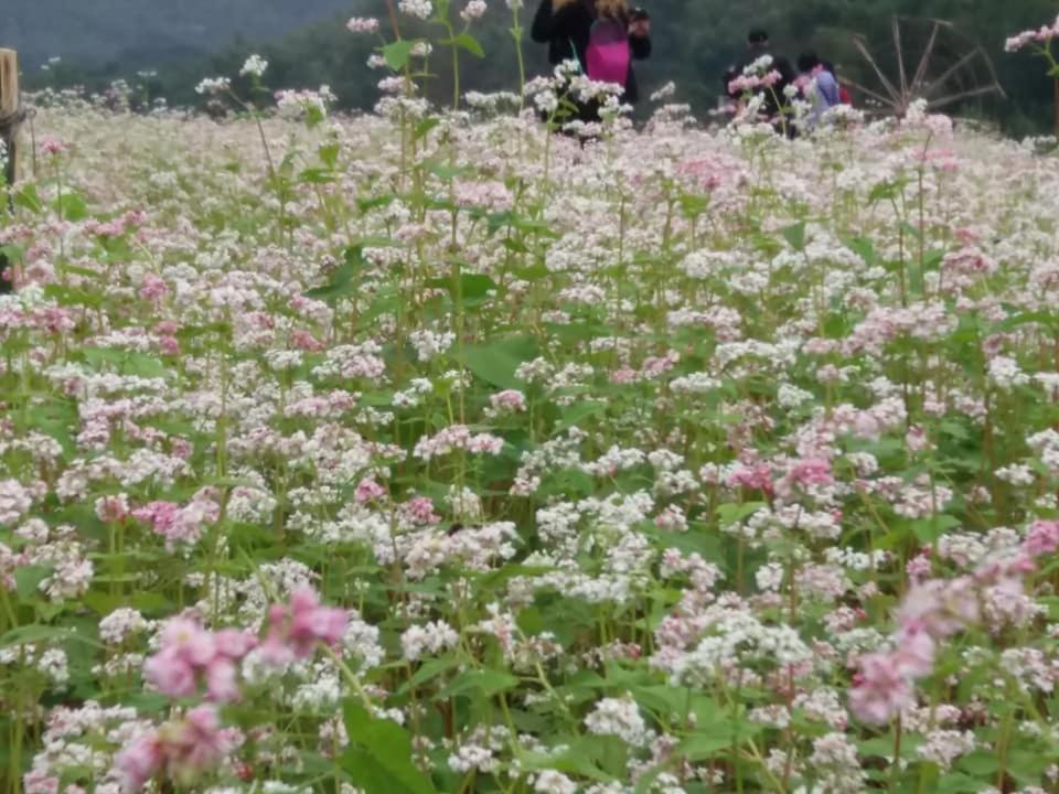 Mai Chau Xanh Bungalow Bagian luar foto