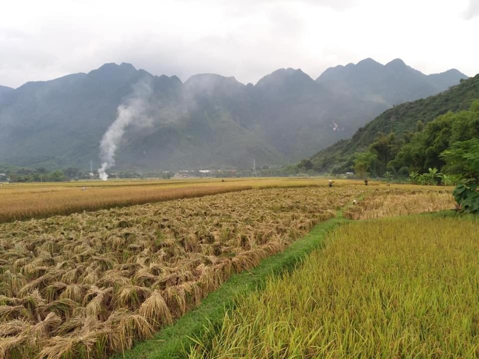 Mai Chau Xanh Bungalow Bagian luar foto