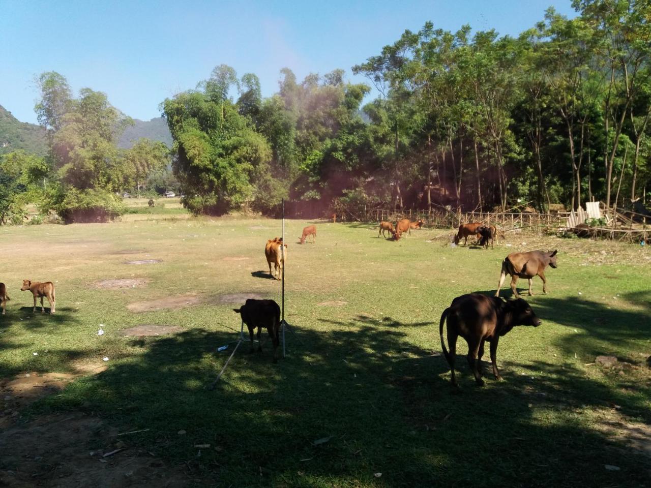 Mai Chau Xanh Bungalow Bagian luar foto